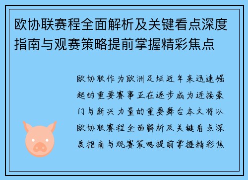 欧协联赛程全面解析及关键看点深度指南与观赛策略提前掌握精彩焦点